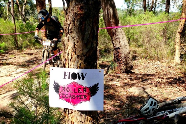 Cruise up, shred back down.