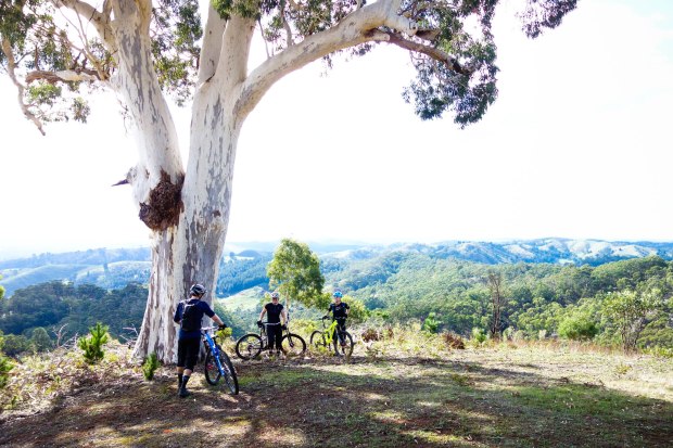 Discovering the trails with a great crew on day one. L-R: Jay Tolson, Jacs Schapel, Gen McKew.