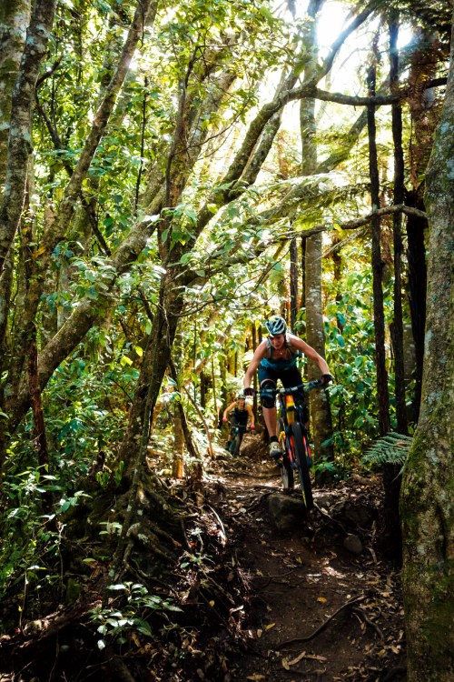 Kataore - my new favourite trail.