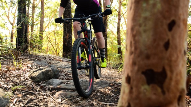 Bicknell-BR-Specialized 2FO ClipLite Womens-17